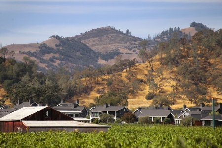 Suburbs Invade Rural Napa
Calistoga, California