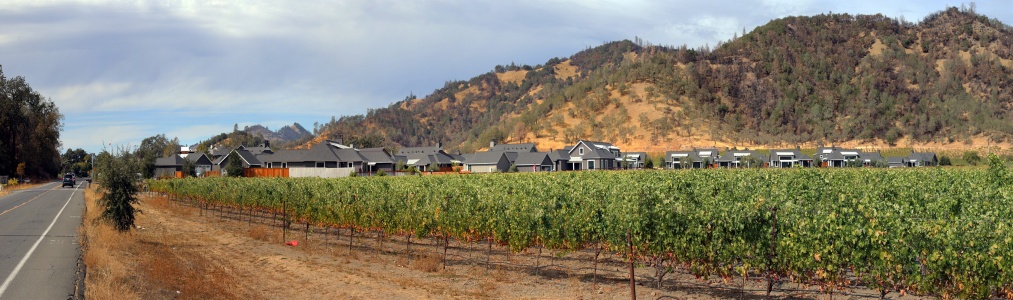 Suburbs Invade Rural Napa
Calistoga, California