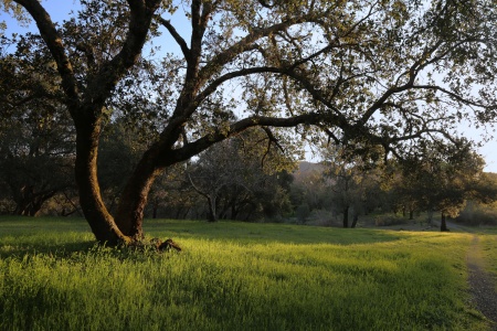 Twin Brook Farm
Napa County, California