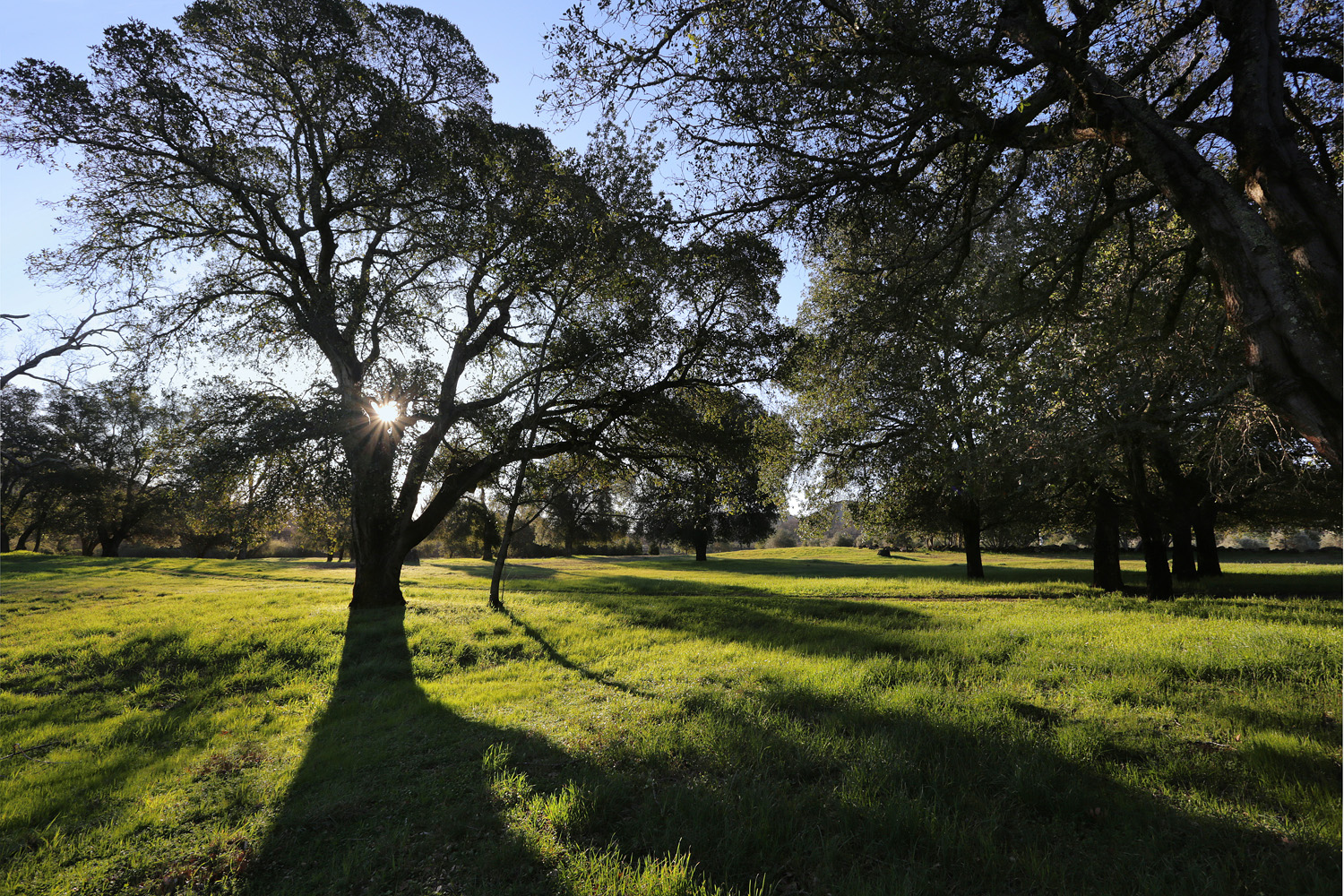 bill-hocker-twin-brook-farm-napa-county-california-2021