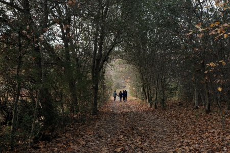 The Tunnel
Twin Brook Farm
Napa County, California