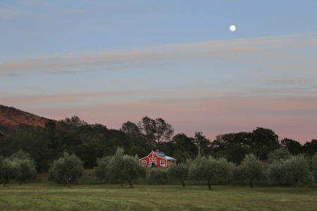 Neighbor's Office
Twin Brook Farm
Napa County, Califoria