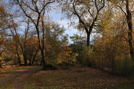 Entry Road
Twin Brook Farm
Napa County, California
