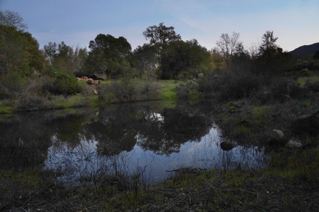 Vernal Pond
Napa County, California