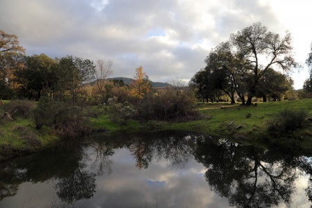 Vernal Pond
Twin Brook Farm
Napa County, California