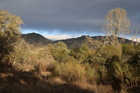 Atlas Peak from Twin Brook Farm
Napa County, California