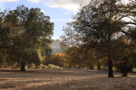 Twin Brook Farm
Napa County, California