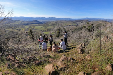 Rector Plateau from Atlas Peak
Napa County, California