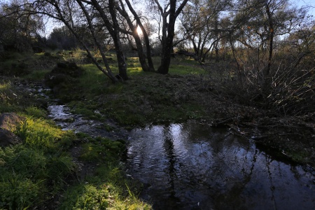 West Brook
Twin Brook Farm
Napa County, California
