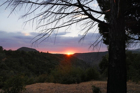 Haystack and Cedar
Twin Brook Farm
Napa County,California