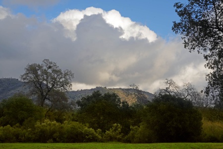 Twin Brook Farm
Napa County, California