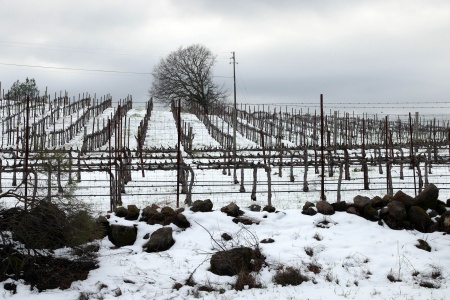 The Great Snow
Twin Brook Farm, Napa County