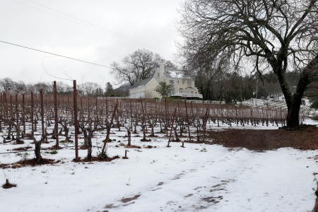 The Great Snow
Twin Brook Farm, Napa County