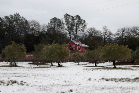 The Great Snow
Twin Brook Farm, Napa County