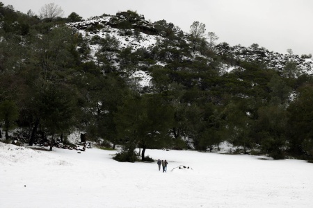 Soda Canyon Road Pass
Napa County, California