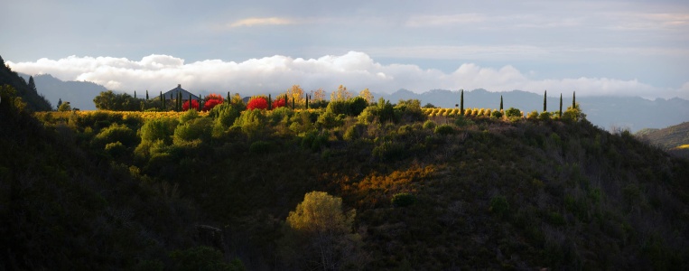 Neighbor's House
Twin Brook Farm
Napa County, California