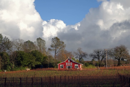 Neighbor's Office
Twin Brook Farm
Napa County, California
