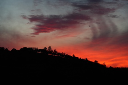 Neighboring RIdge
Twin Brook Farm
Napa County, California