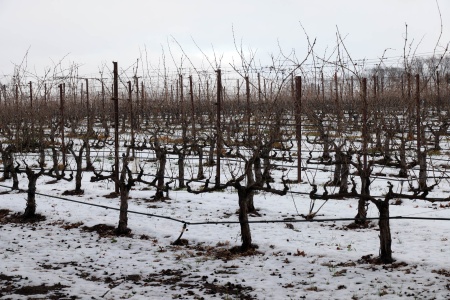 The Great Snow
Twin Brook Farm, Napa County