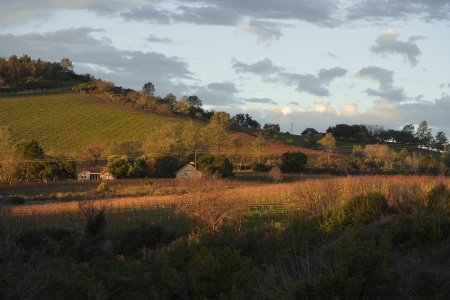 Neighbor's Farm
from Twin Brook Farm
Napa County, California