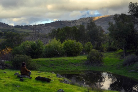 Vernal Pond
Twin Brook Farm
Napa County, California