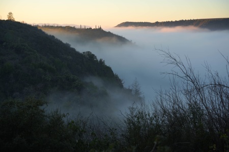 Rector Canyon
Napa County, California