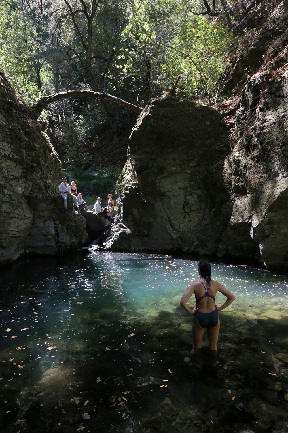 bill-hocker-second-pool-rector-canyon-napa-california-2016