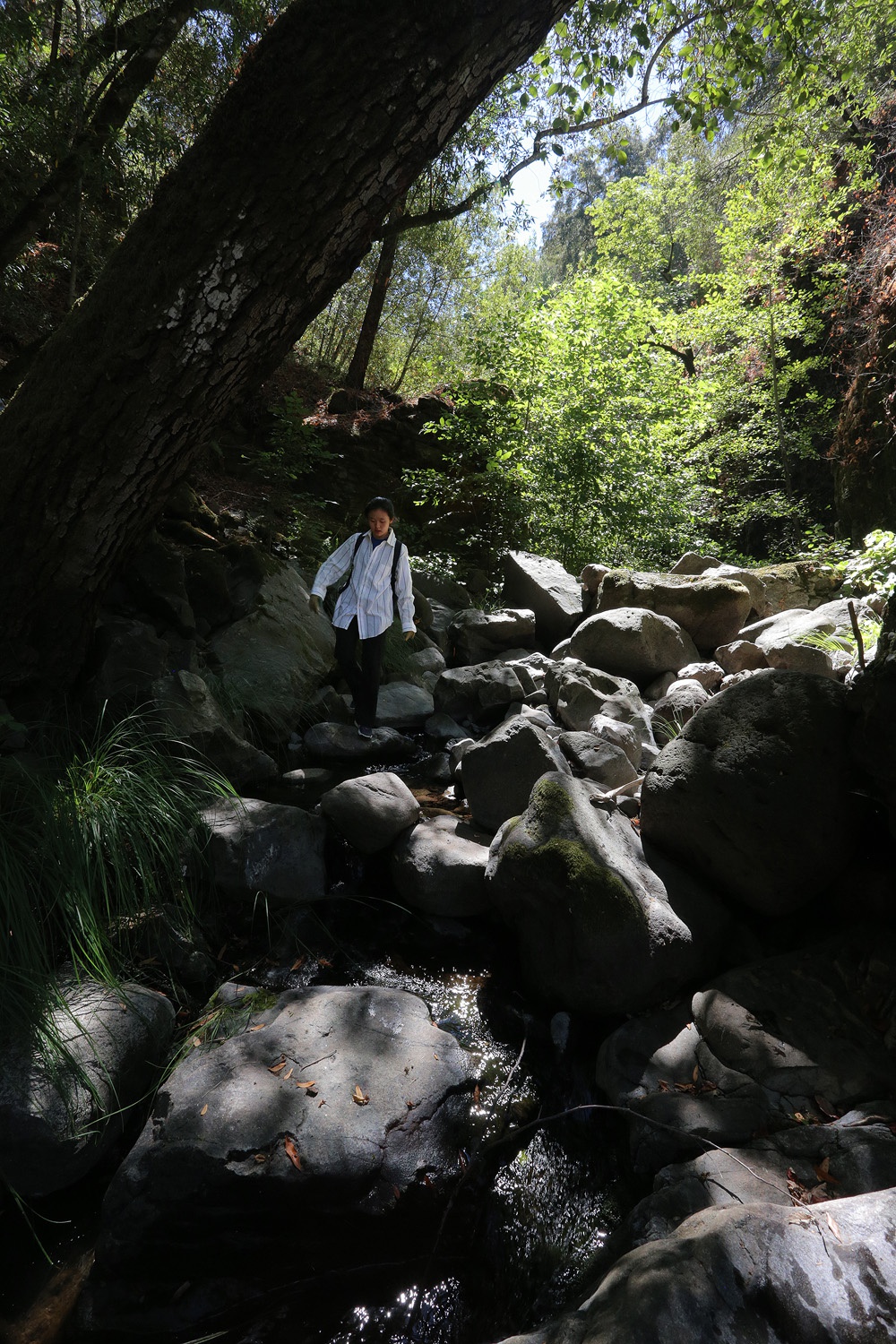 bill-hocker-ashley-rector-canyon-napa-california-2016
