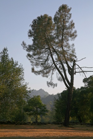 Peak Above Stag's Leap
Napa, California