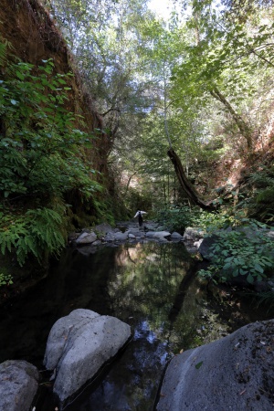 Rector Canyon
Napa, California