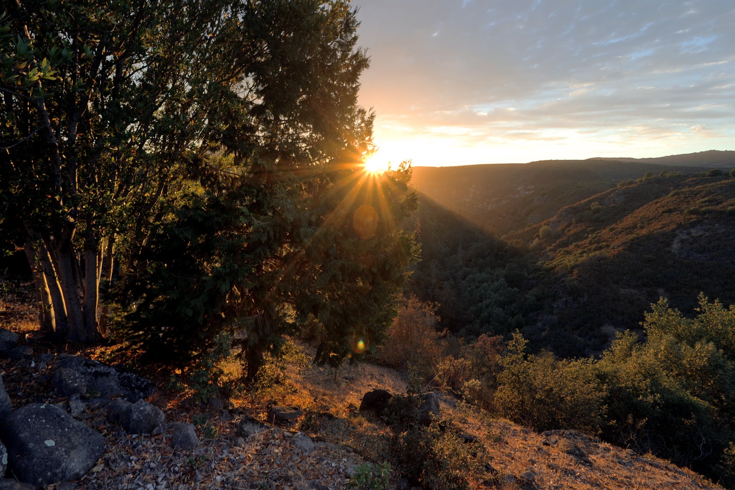 bill-hocker-rector-canyon-napa-california-2014