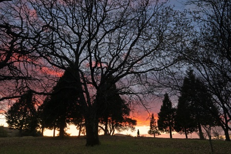 Twin Brook Farm
Napa, California