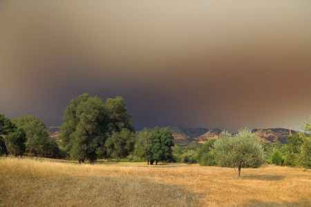 Fire Cloud
Atlas Peak
Napa County, California