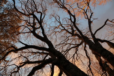 Twin Brook Farm
Napa, California