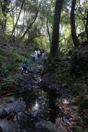 Rector Canyon
Napa, California