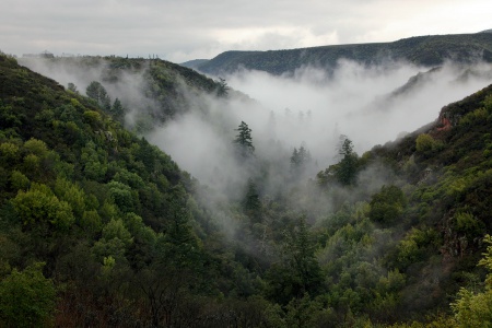 Rector Canyon
Napa, California
