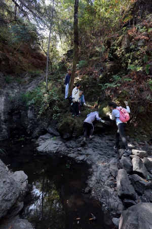 Rector Canyon
Napa, California