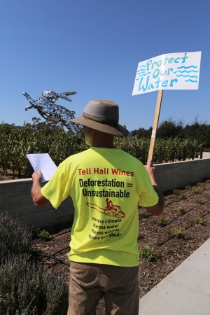 David
Hall Winery Protest