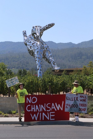 David and ?
Hall Winery Protest