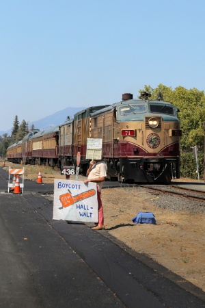 Hall Winery Protest