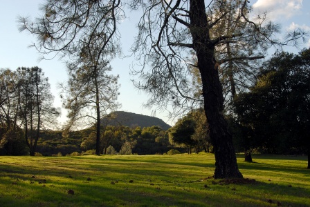 Haystack Mountain
Napa, California