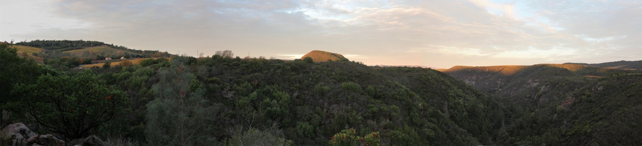 Haystack, Rector Canyon
Napa California