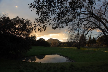 Haystack and Pond
Twin Brook Farm
Napa, California