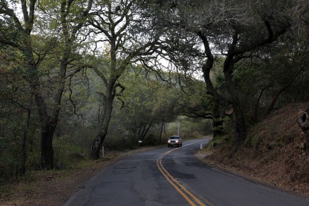 Soda Canyon Road
Napa, California
