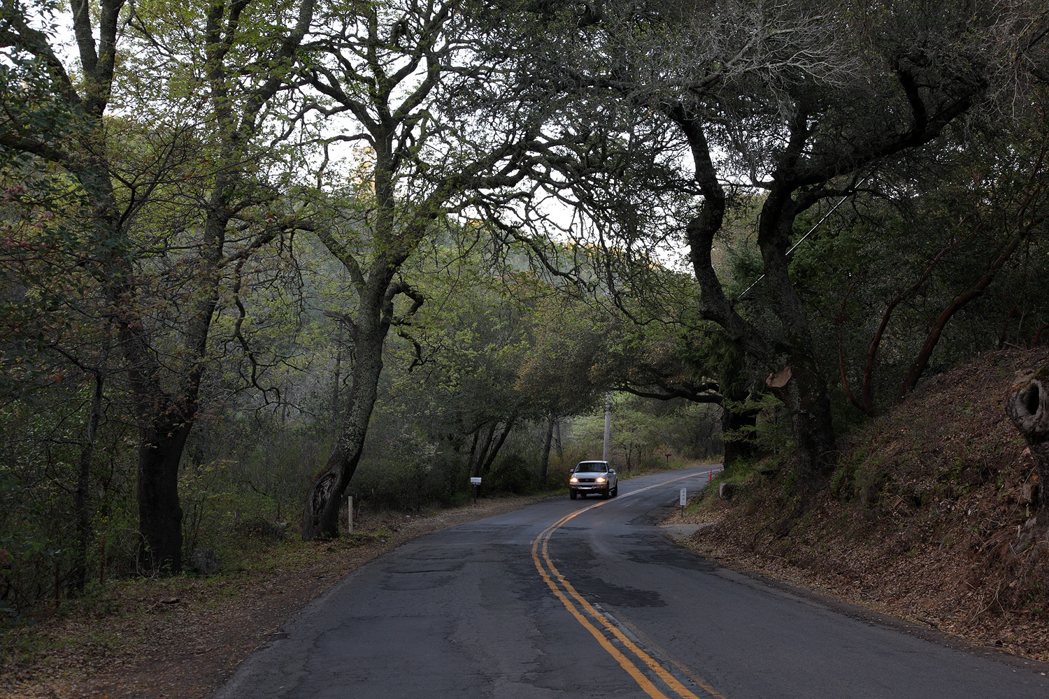 bill-hocker-soda-canyon-road-napa-california-2014
