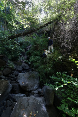 John, Grace
Rector Canyon
Napa California