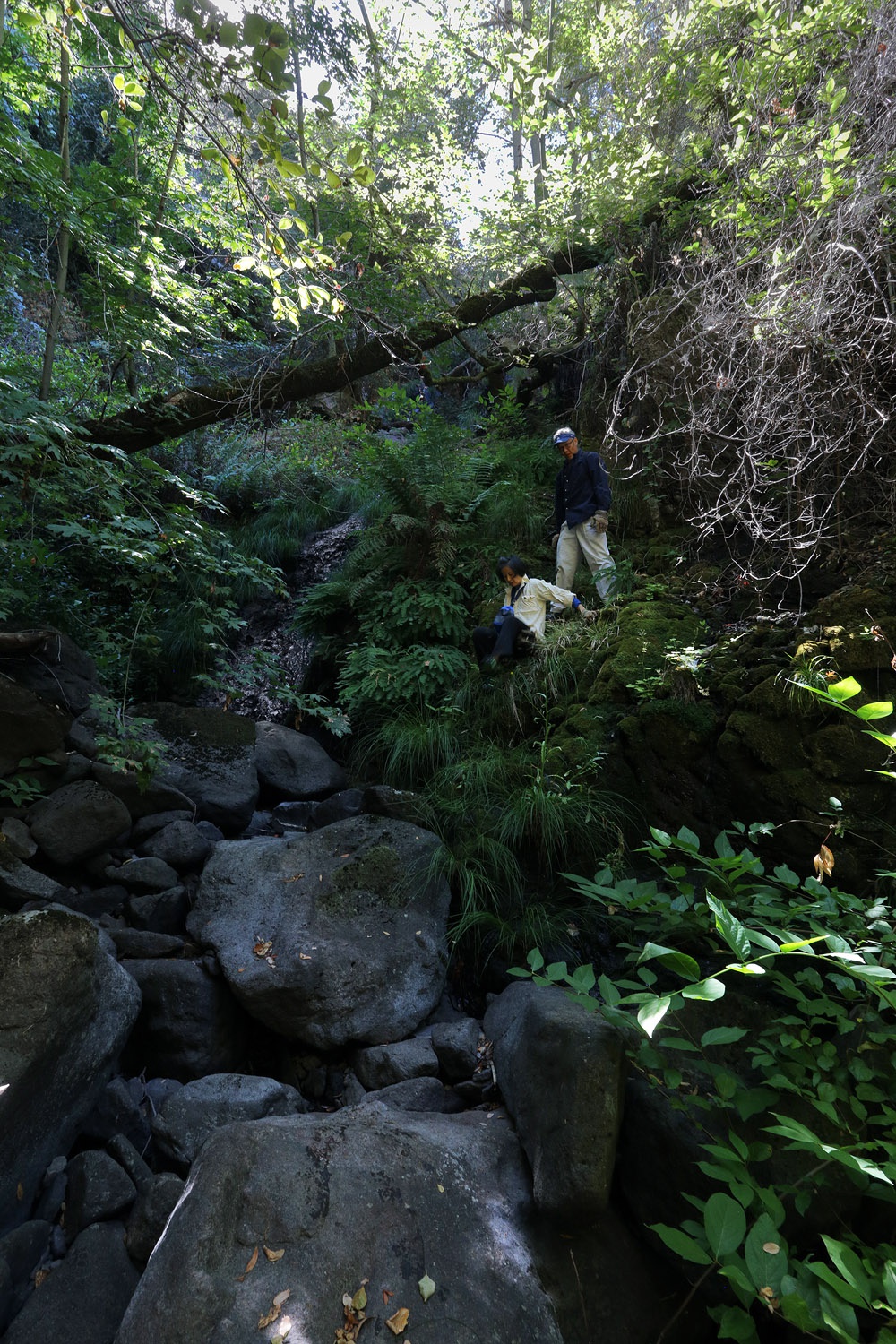 bill-hocker-john-grace-rector-canyon-napa-california-2016