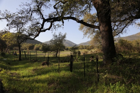 Soda Canyon Road
Napa, California