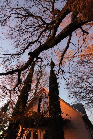 Farm House
Twin Brook Farm
Napa, California