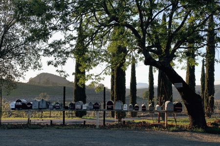 Soda Canyon Road
Napa, California